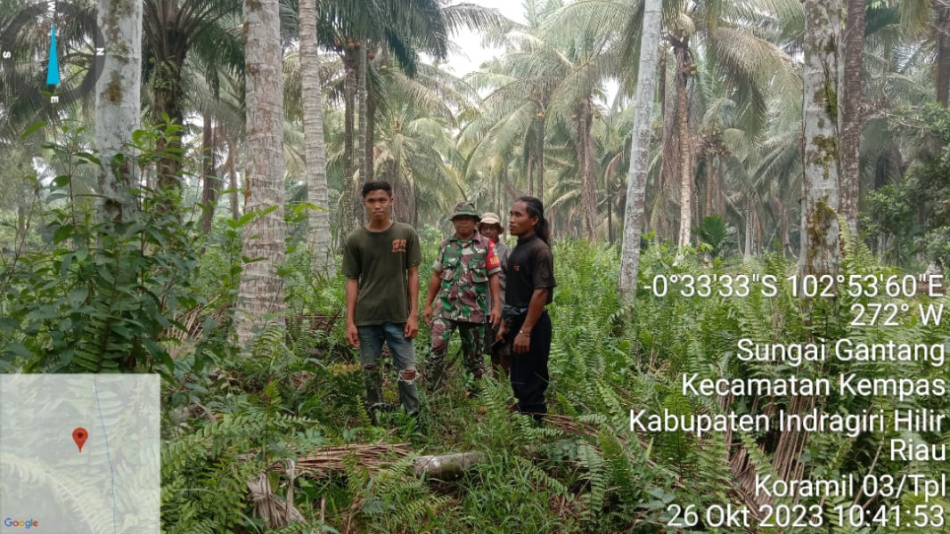 Bebaskan Karlahut Di Desa Binaannya, Babinsa Koramil 03/Tpl Serka Faisal Lakukan Patroli Dan Sosialisasi Karlahut