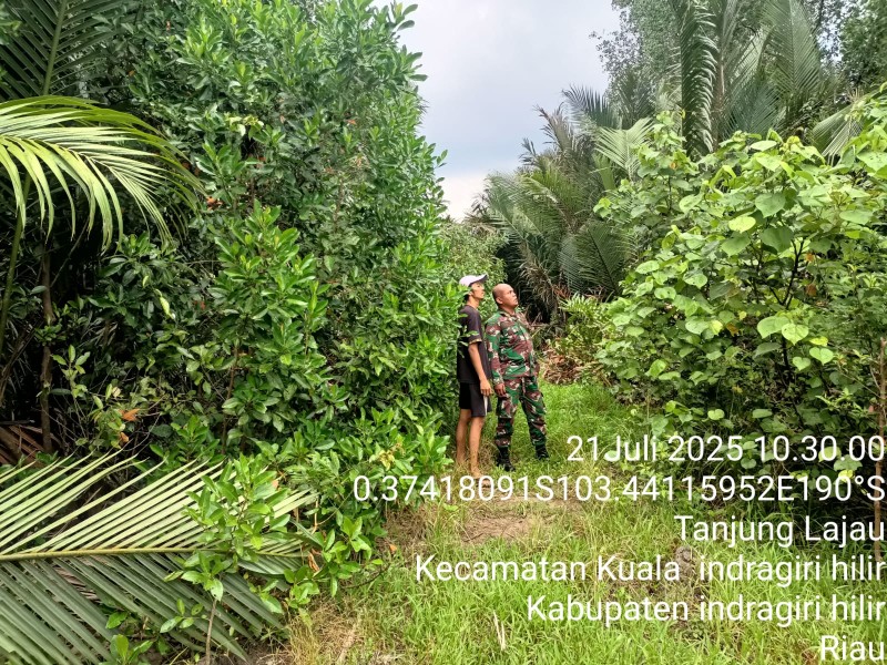 Patroli dan Sosialisasi Karhutla di Desa Tanjung Lajau: Babinsa Koramil 04/Kuindra Berhasil Cegah Kebakaran