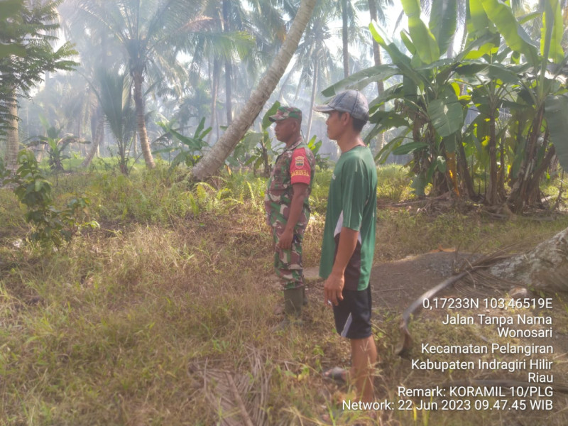 Babinsa Koramil 10/Pelangiran Tekankan Agar Selalu Jaga Lahan dan Hutan Demi Kenyamanan Wilayah