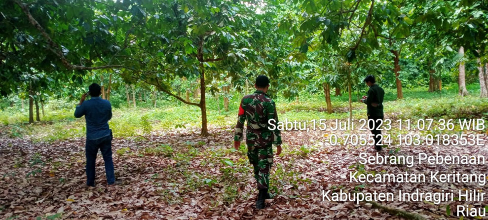 Pencegahan Karhutla Rutin Dilakukan Bersama Babinsa Koramil 09/Kemuning