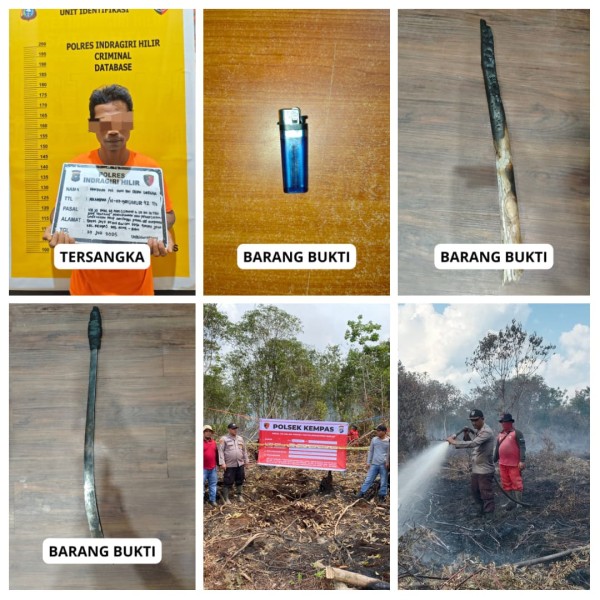 Polres Inhil Tangkap Pelaku Pembakaran Lahan Gambut Seluas 5 Hektare di Kempas