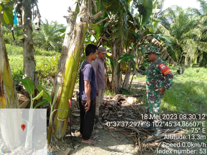 Babinsa Koramil 09/Kemuning Patroli Rutin dan Sosialisasi Karlahut