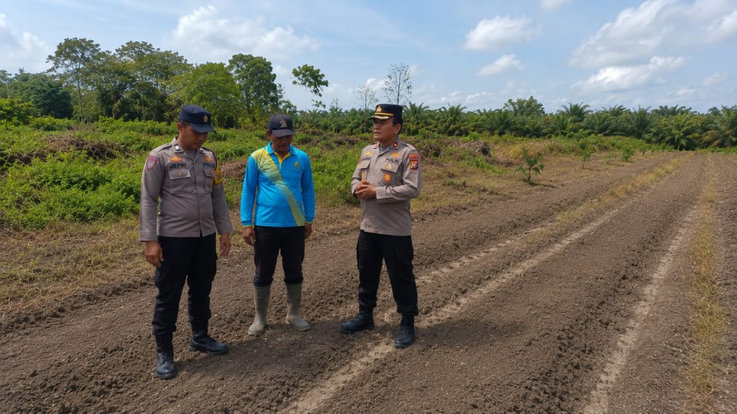 Dukung Ketahanan Pangan, Polisi Dampingi Petani Jagung di Desa Tani Makmur
