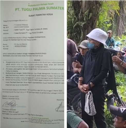 Waduh, Aksi Premanisme Penguasaan Kebun Perusahaan Oleh Kelompok Preman di Inhu Sengaja Pojokan TNI