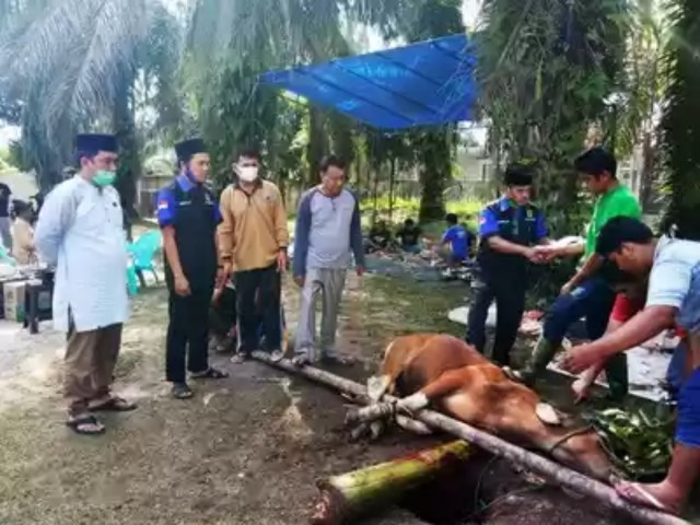 KBB Riau Potong Satu Ekor Hewan Kurban