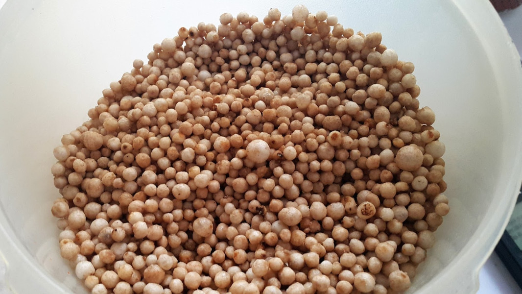 Sagu Lemak Makanan Khas Melayu Inhil