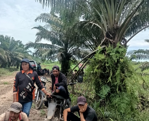 Berlangsung Singkat, Petani di Rengat Usir Alat Berat Milik PT SBP