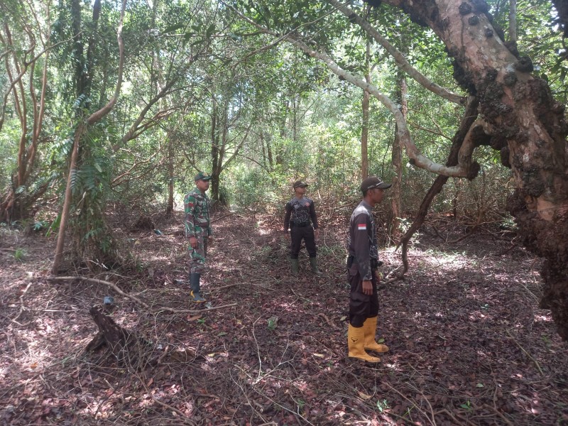 Babinsa 05/Gas Pratu Sandi Wahyudi Gencar Lakukan Patroli Karlahut Bersama Warga Setempat