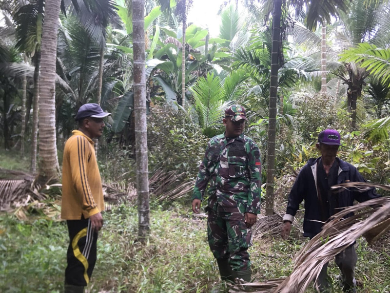 Babinsa 05/Gas Pratu Sandi Wahyudi Gencar Patroli Hutan Dan Lahan Dengan Warga