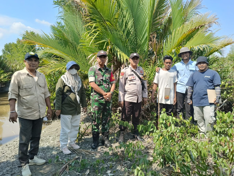 Kegiatan Verifikasi Fisik Tahap Pertama Pemeliharaan Tanaman (P1) Yang Langsung Didampingi Oleh Babinsa Koramil 04/Kuindra