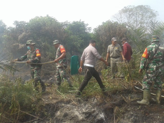 TNI dan Masyarakat Berjibaku Padamkan Api di Lahan Gambut Tempuling