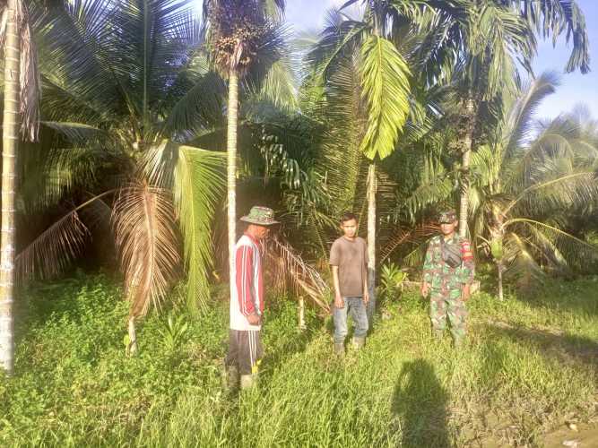 Babinsa Koramil 04/Kuindra Patroli Rutin Karhutla di Desa Binaan