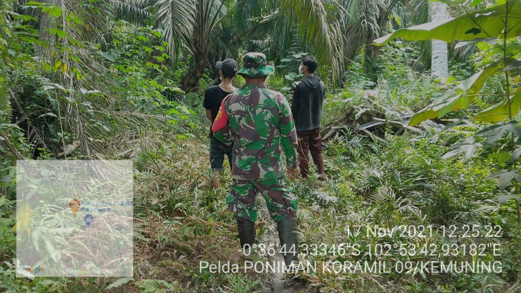 Patroli Karhutla di Desa Nusantara Jaya Rutin Dilakukan Personil Koramil 09/Kemuning