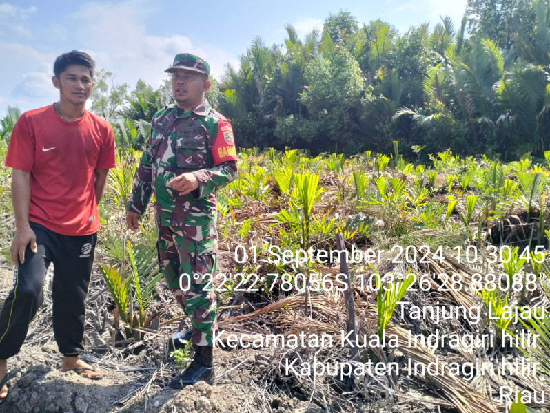 Babinsa Koramil 04/Kuindra Giat Lakukan Patroli Guna Agar Terhindar Dari Kebakaran