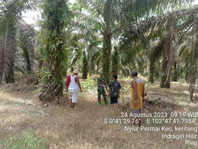 Pencegahan Karhutla Terus Dilakukan Demi Kenyamanan Lingkungan Bersama Babinsa Koramil 09/Kemuning