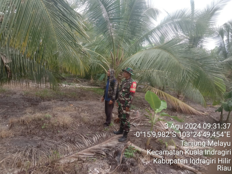 Terkait Karhutla, Babinsa Koramil 04/Kuindra Terus Berupaya Untuk Lakukan Patroli Rutin