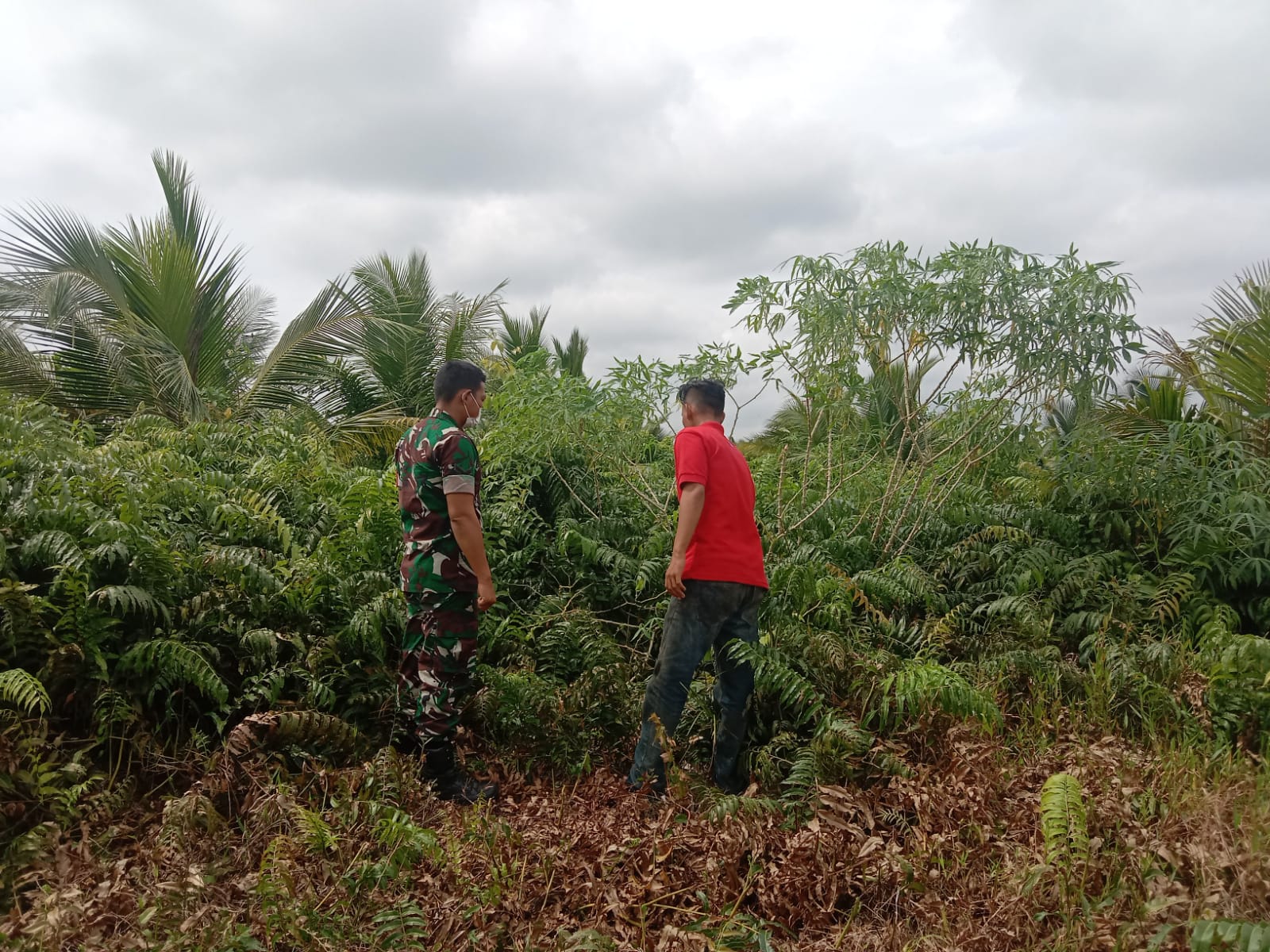 Sosialisasi Terhadap Karhutla Yang Dilakukan Oleh Babinsa Koramil 04/Kuindra di Wilayah