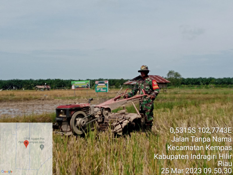 Babinsa Koramil 03/Tpl Bantu Petani Lakukan Pengolahan Lahan Padi