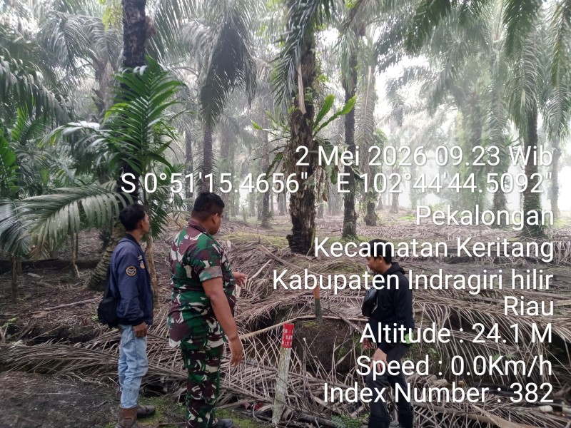 Sinergi TNI-Rakyat di Petalongan: Patroli Karhutla, Hasil Nihil Titik Api Situasi Aman Terkendali