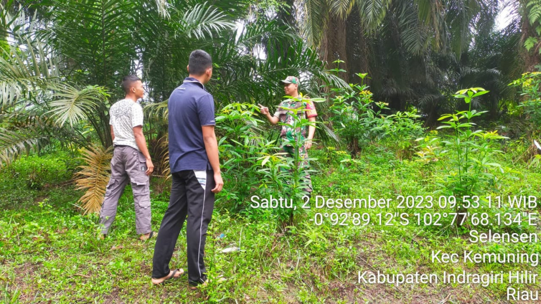 Terkait Karhutla, Babinsa Koramil 09/Kemuning Terus Berupaya Untuk Memantau Lahan dan Hutan Warga