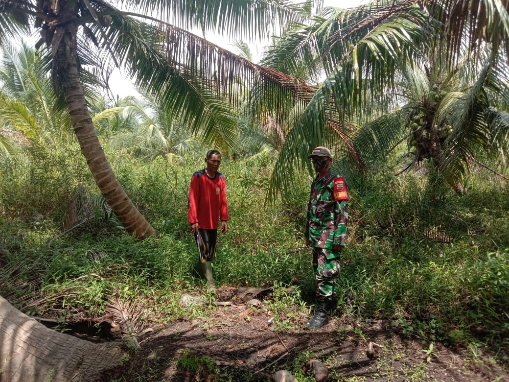 Cegah Karhutla di Wilayah Binaan, Babinsa 04/Kuindra Rutin Lakukan Patroli Karhutla