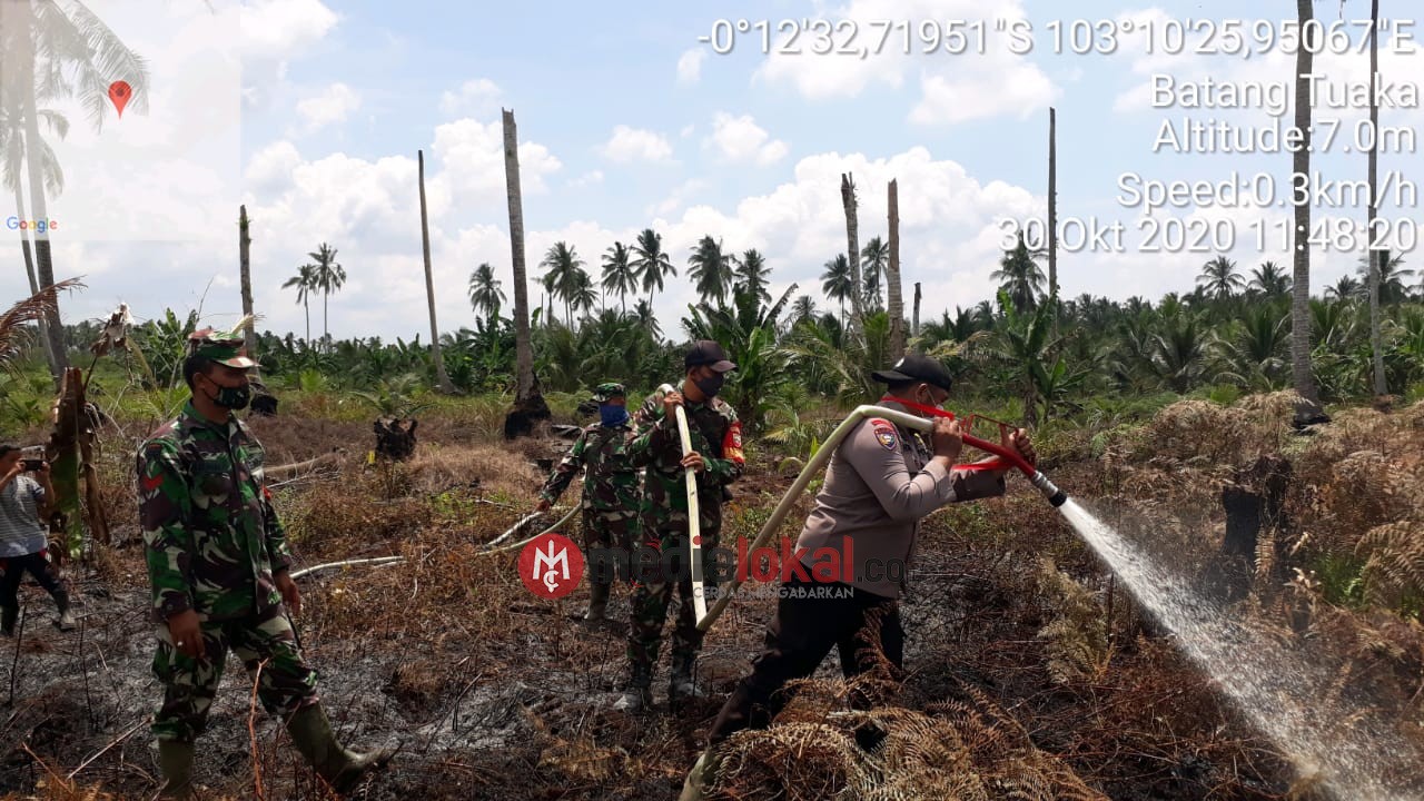Lahan Gambut di Desa Simpang Jaya Terbakar, Koramil 12/Batang Tuaka Lakukan Pemadaman