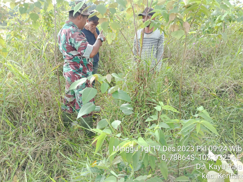 Dengan Karhutla, Babinsa Koramil 09/Kemuning Terus Mengantisipasi Terjadinya Kebakaran Hutan dan Lahan