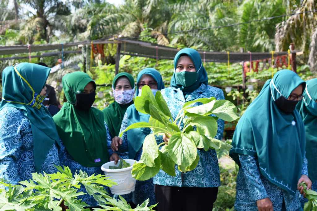 PKK Desa Tasik Juang Binaan TP PKK Inhu Wakili Riau ke Tingkat Nasional  PKK Desa Tasik Juang Binaan TP PKK Inhu Wakili Riau ke Tingkat Nasional