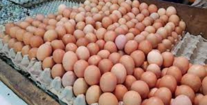 Telur Ayam Pimpin Kenaikan Harga Bahan-bahan Pokok Pekan Ini