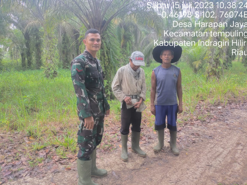 Babinsa 03/Tpl Patroli Antisipasi Karhutla di Desa Harapan Jaya
