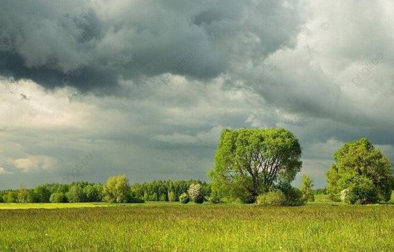 Untuk Menunjang Aktivitas Anda Informasi Terkini: Situs Cuaca Barito Selatan