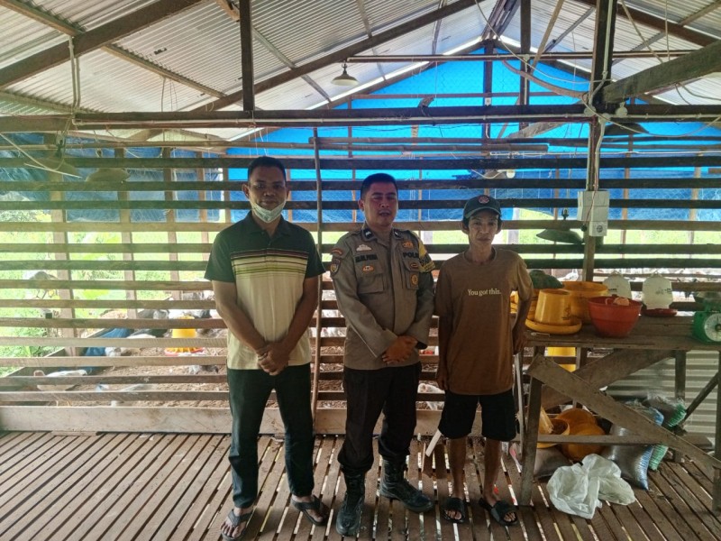 Bhabinkamtibmas Desa Kotabaru Seberida Sambangi Peternakan Ayam Kampung dalam Mendukung Ketahanan Pangan