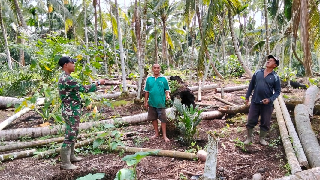 Babinsa Koramil 03/Tpl Rutin Melaksanakan Patroli Tapal Batas dan Sosialisasi Stop Karhutla Kepada Masyarakat