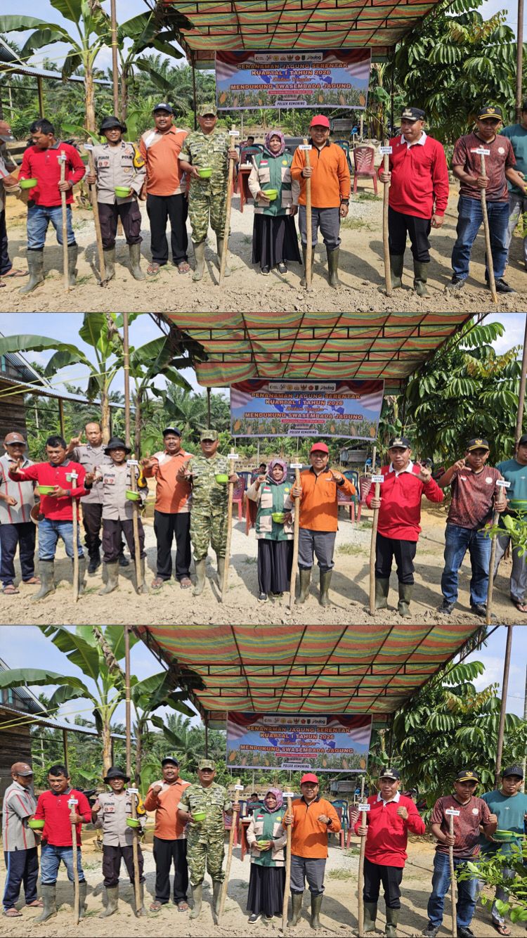 Polsek Kemuning Laksanakan Penanaman Jagung Serentak Kuartal I