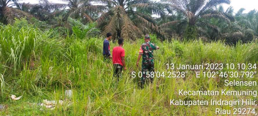 Babinsa Koramil 09/Kemuning Bersama Warga Rutin Patroli Bekas Karlahut