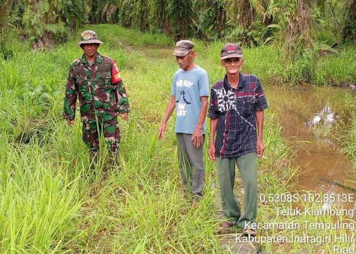 Babinsa 03/Tpl Lakukan Penyisiran Semak Belukar Guna Pencegahan Karhutla    