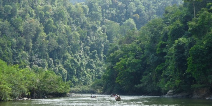 Provinsi Riau Usul Bukit Rimbang Bukit Baling Menjadi Taman Nasional
