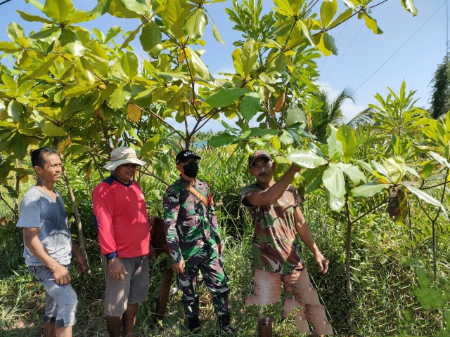 Cegah Karhutla di Wilayah Binaan, Babinsa 04/Kuindra Rutin Lakukan Patroli