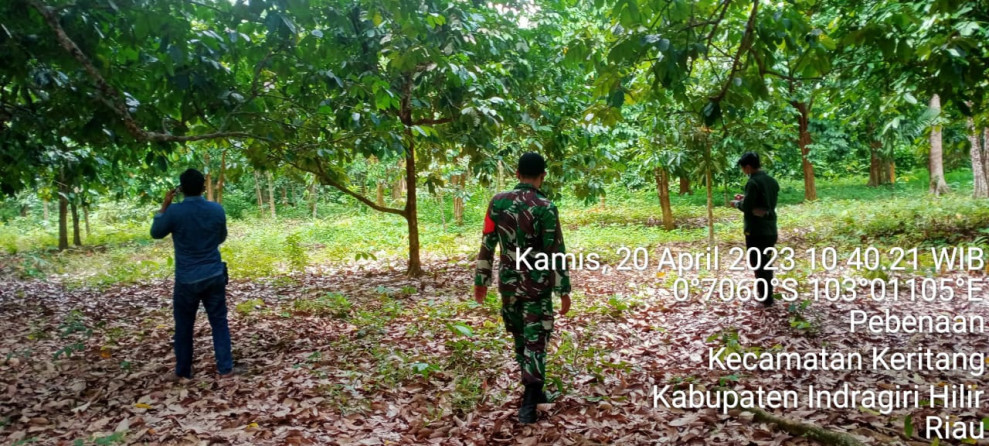 Cegah Karhutla Oleh Babinsa Koramil 09/Kemuning di Daerah Binaan