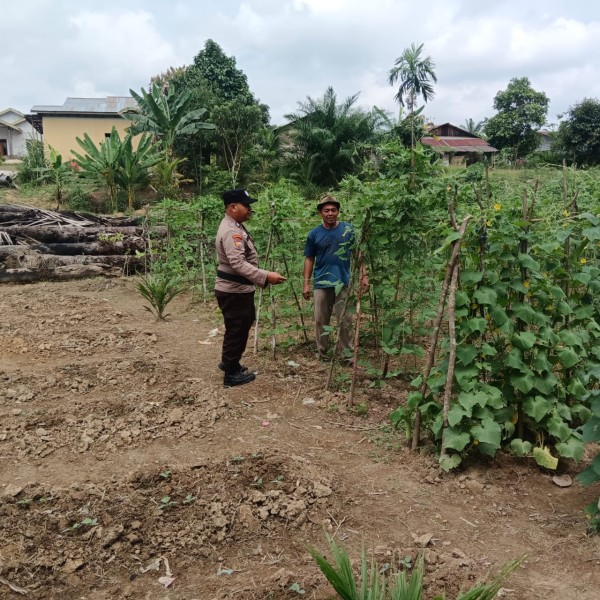 Kompol Simanungkalit: Polisi Cinta Petani Jadi Jembatan Polri dan Petani Keritang Wujudkan Ketahanan Pangan