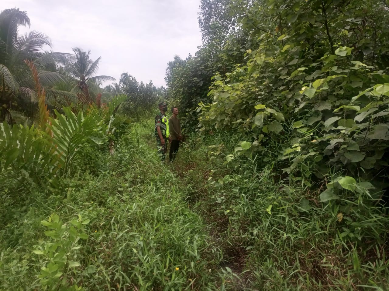 Babinsa Koramil 04/Kuindra Intenskan Sosialisasi Karhurla di Teluk Dalam