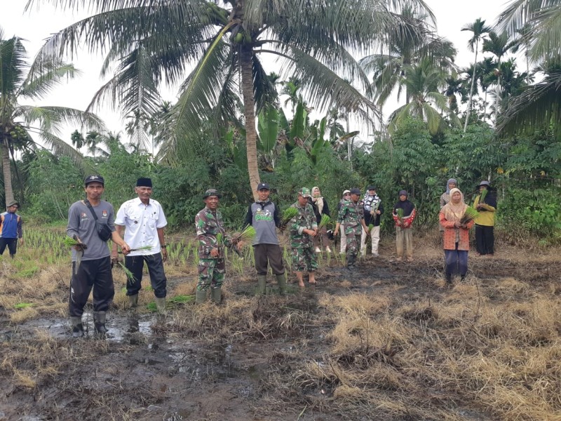 Gerakan Tanam Serentak di Desa Mogomulyo untuk Meningkatkan Ketahanan Pangan