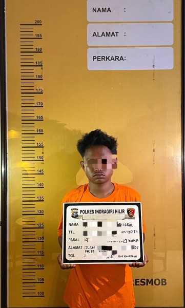 Satu Pelaku Pencurian di Tembilahan Dibekuk Polisi
