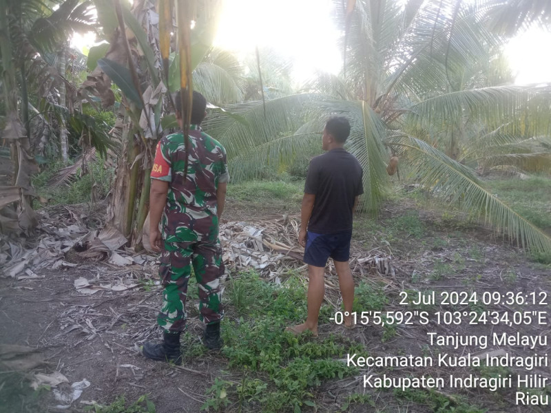 Babinsa Serda Ali Borkat Harahap Turun Untuk Lakukan Patroli Karhutla di Desa Tanjung Melayu