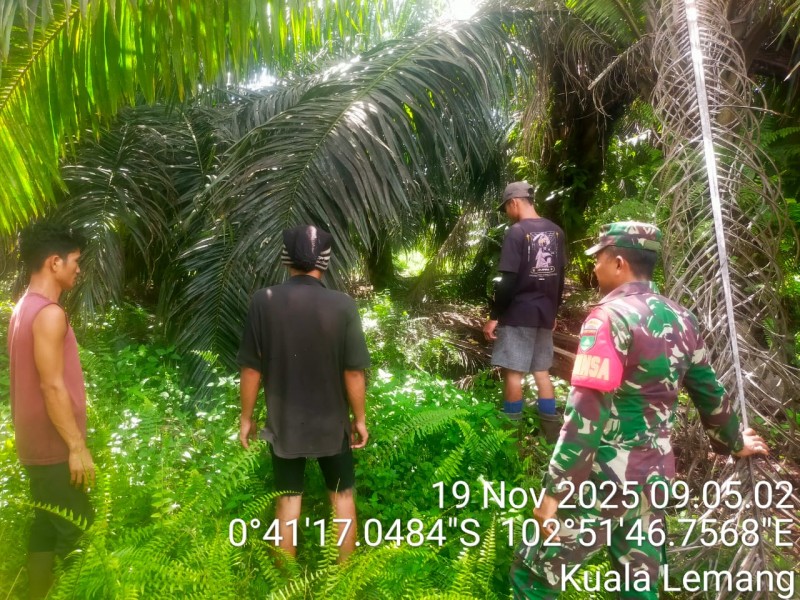 Demi Kenyamanan Lingkungan, Babinsa Koramil 09/Kmg Giat Patroli Tapal Batas