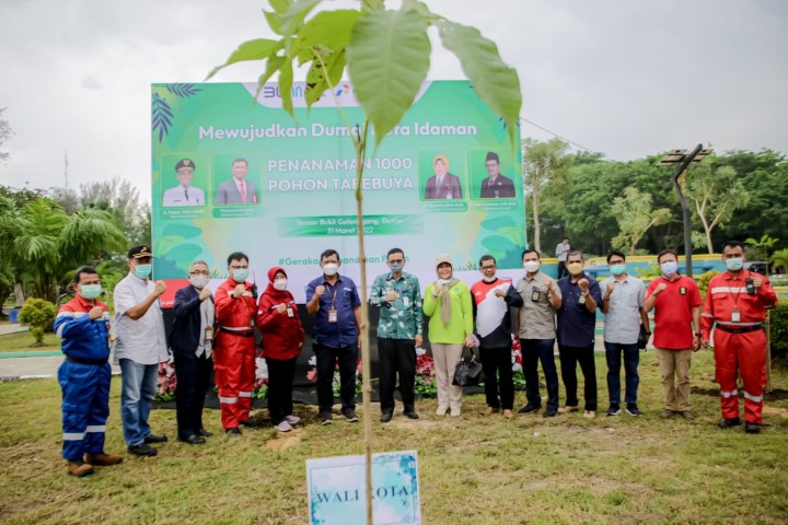 Hijaukan Dumai, Sekda Bersama GM Pertamina Secara Simbolis Tanam Pohon Tabebuya