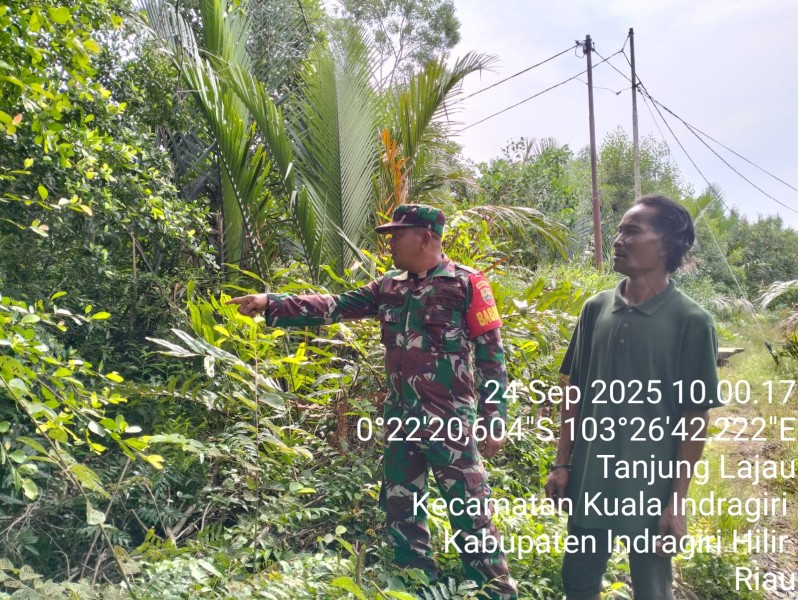 Koramil 04/Kuindra Pantau Situasi Karhutla, Hasil Nihil