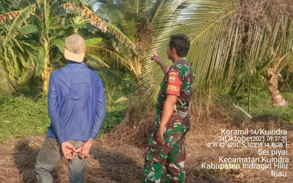 Babinsa Koramil 04/Kuindra Tidak Membenarkan Membuka Lahan Dengan Cara di Bakar