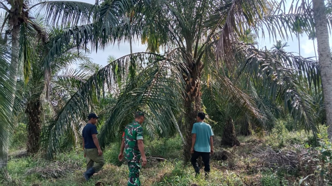 Koramil 07/Reteh Terus Lakukan Patroli Tapal Batas untuk Keamanan Masyarakat