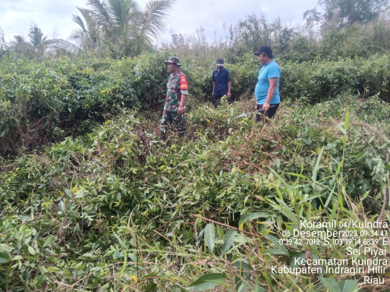 Peduli Terhadap Lingkungan, Babinsa Koramil 04/Kuindra Jaga Hutan dan Lahan Wilayah